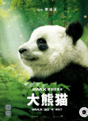 玩得更轻松，西游记之大圣归来的最佳玩法建议